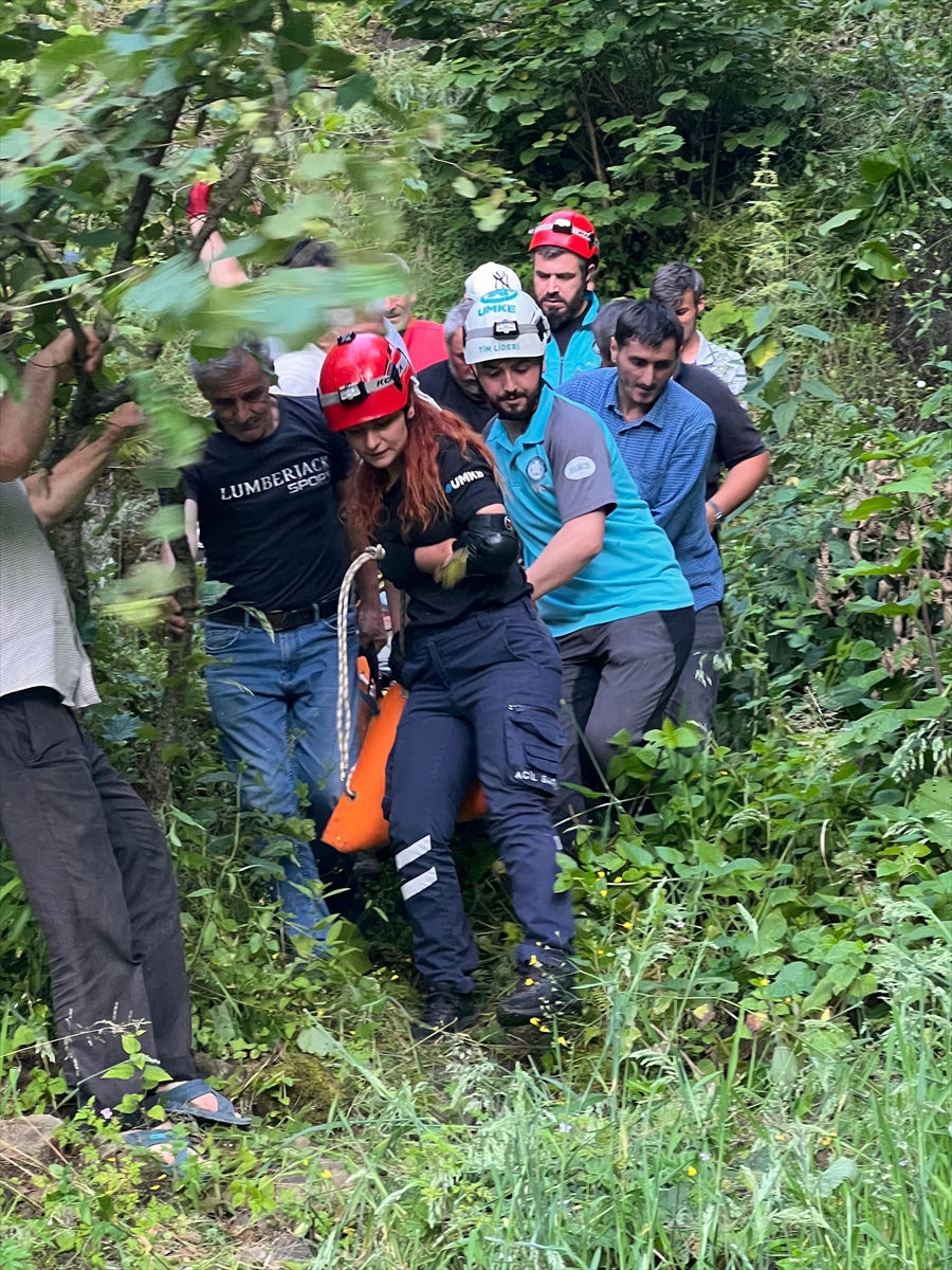 Giresun'da yamaçtan yuvarlanan kişi yaralandı