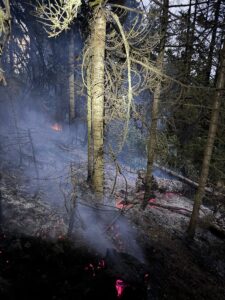 GÜMÜŞHANE (AA) – Gümüşhane'de ormanlık alanda çıkan yangın, itfaiye ekiplerinin