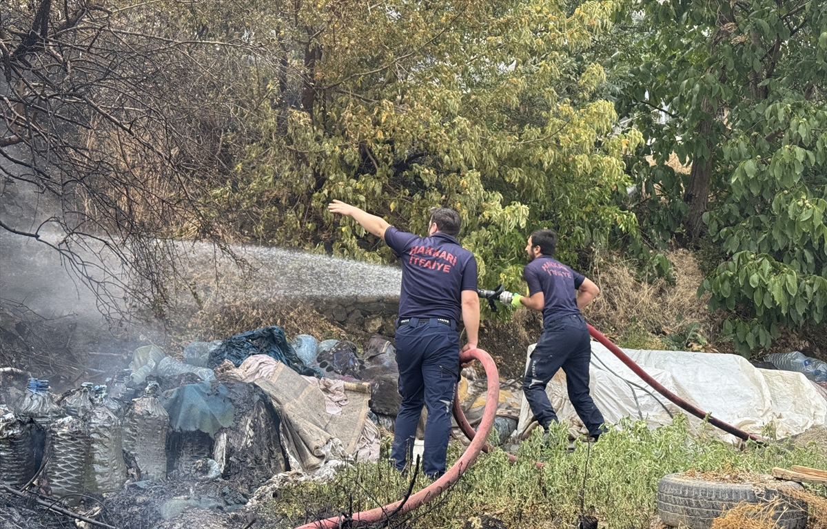 Hakkari'de ağaçlık alanda çıkan yangın kontrol altına alındı