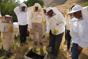 HAKKARİ (AA) – Hakkari'nin Şemdinli ilçesinde "Bal Hasat Şenliği" düzenlendi.
