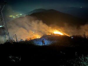 HATAY (AA) – Hatay'ın Dörtyol ilçesinde yerleşim yerlerine yakın noktada