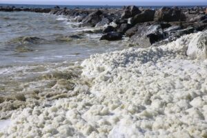 HATAY (AA) – Hatay'ın Arsuz ilçesinde, deniz kıyısındaki bazı bölgelerde