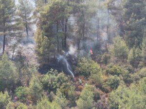 HATAY (AA) – Hatay'ın merkez Antakya ilçesinde devam eden orman