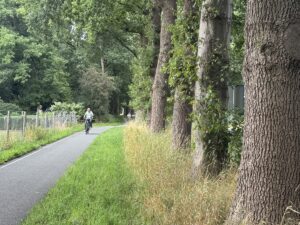 ARNHEM (AA) – Hollanda'nın Gelderland bölgesinde yer alan Arnhem kentinde