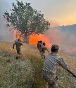 - "4-22 Temmuz tarihleri arasında meydana gelen 61 orman yangını