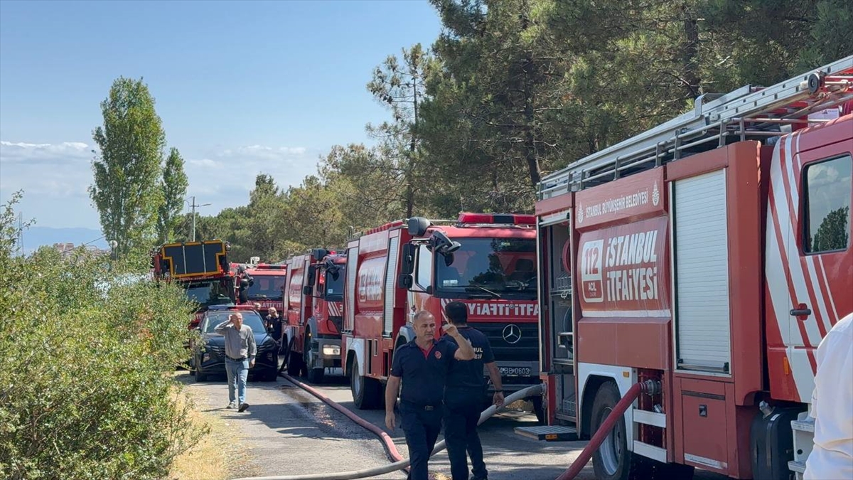 GÜNCELLEME – İstanbul'da Aydos Ormanı'nda çıkan yangın söndürüldü