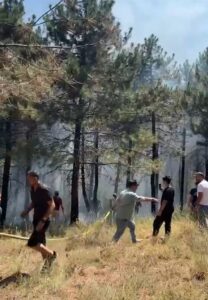 İSTANBUL (AA) – İstanbul'da Aydos Ormanı'nda çıkan yangın nedeniyle bölgeye