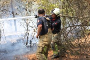 İSTANBUL (AA) – İstanbul'daki bazı belediyeler, Bursa'daki orman yangınlarını söndürme
