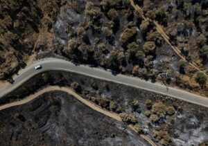 İZMİR (AA) – GÜNAY PABAŞÇU – İzmir'in Ödemiş ilçesinde, rüzgarın