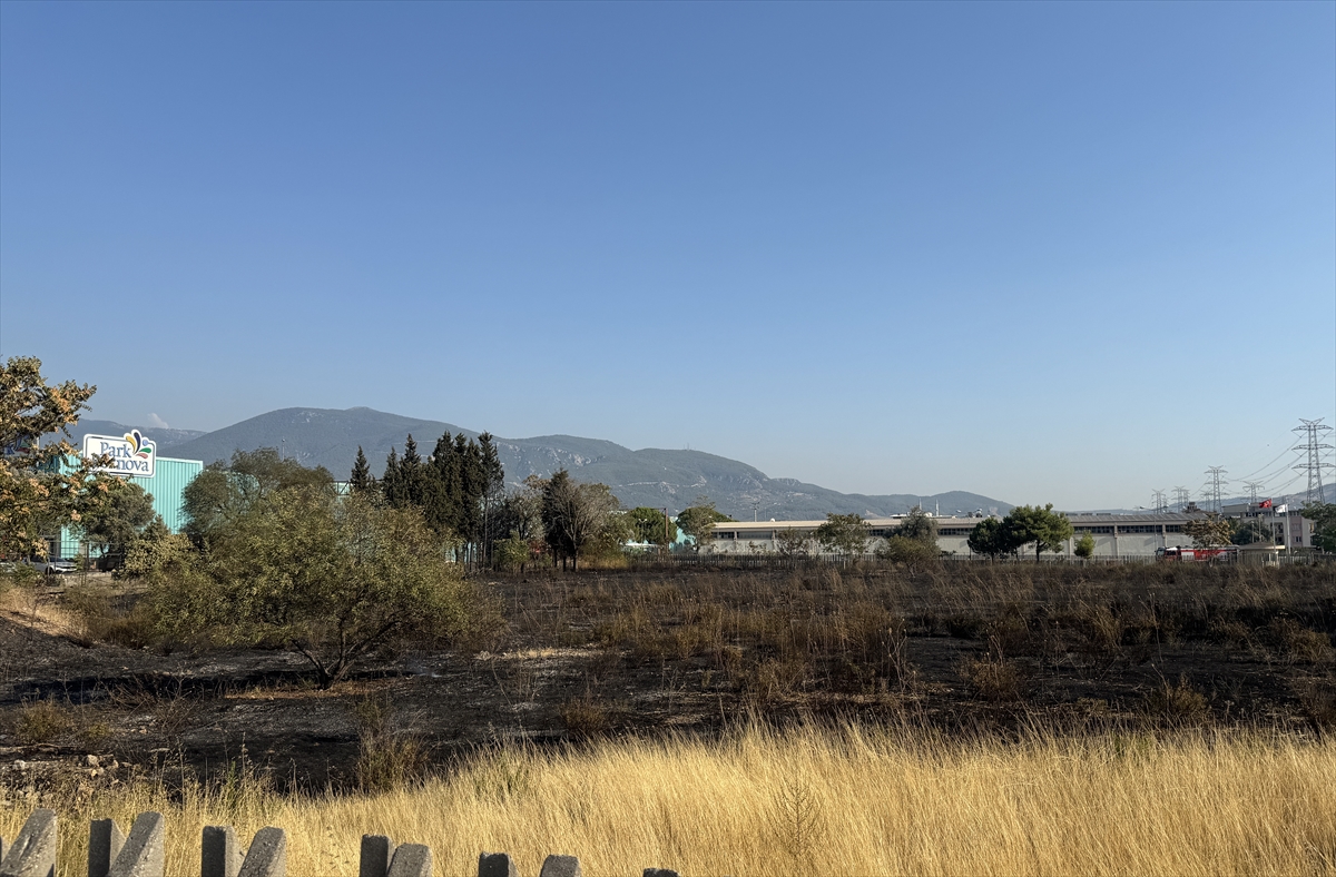 İzmir'de otluk alanda çıkan yangın kontrol altına alındı