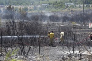 İZMİR (AA) – İzmir'in Buca ilçesinde çıkan orman yangınına havadan