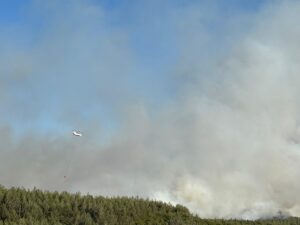 İZMİR (AA) – İzmir'in Buca ilçesinde ormanlık alanda çıkan yangına