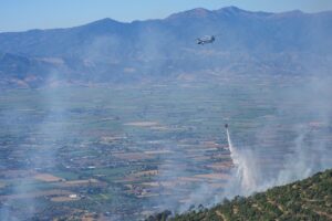 İZMİR (AA) – İzmir'in Ödemiş ilçesindeki ormanlık alanda çıkan yangına