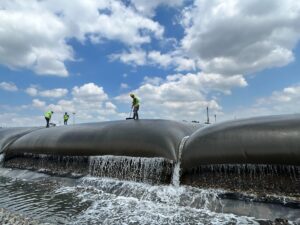 KOCAELİ (AA) – İzmit Körfezi'nde biyoçeşitliliğin korunması amacıyla başlatılan çalışma