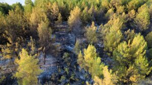 KARABÜK (AA) – Karabük'ün Ovacık ilçesinde ormanlık alanda çıkan yangın,