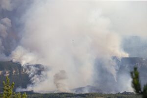 KARABÜK (AA) – Karabük'te ormanlık alanda çıkan yangın havadan ve