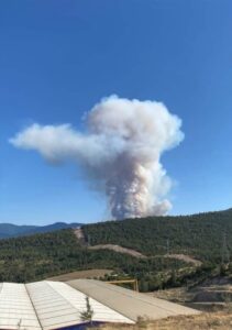 KARABÜK (AA) – Karabük'te ormanlık alanda çıkan yangın söndürülmeye çalışılıyor.