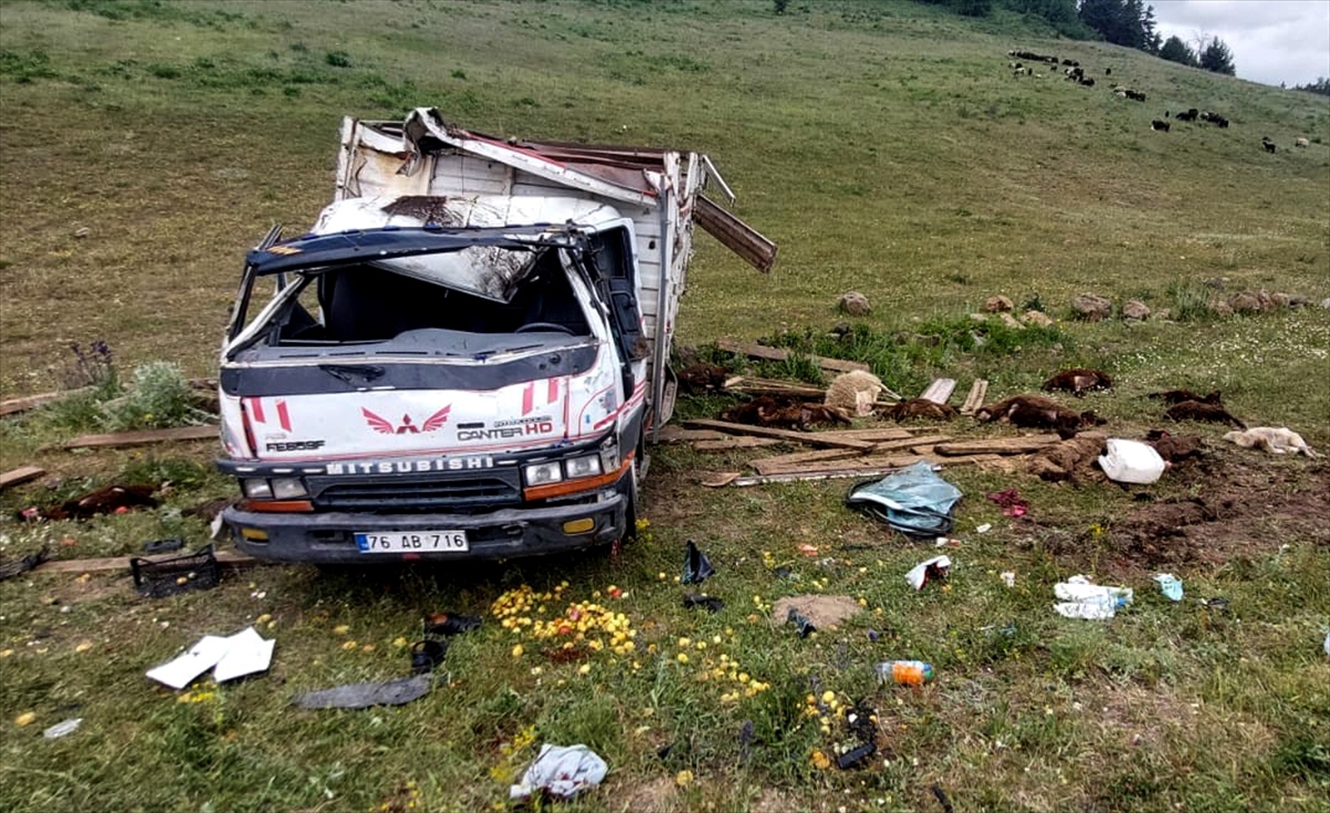 Kars'ta devrilen kamyonetteki 2 kişi yaralandı, 17 küçükbaş telef oldu