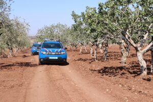 KİLİS (AA) – Kilis'te jandarma ekipleri, hasat zamanı yaklaşan Antep