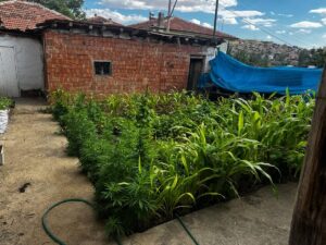 KIRIKKALE (AA) – Kırıkkale'de jandarma ekiplerince merkez ve Keskin ilçesinde