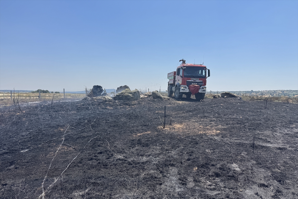 Kırklareli'nde 20 dekar ceviz bahçesi yangında zarar gördü
