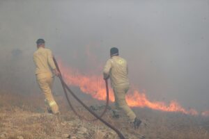 KIRKLARELİ (AA) – Kırklareli'nin Kofçaz ilçesinde orman yangını çıktı. Kocatarla