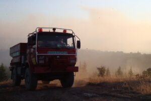 KIRKLARELİ (AA) – Kırklareli'nin Kofçaz ilçesinde orman yangını çıktı. Kocatarla