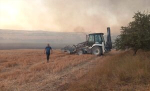 KIRKLARELİ (AA) – Kırklareli'nde, tarım arazisinde başlayıp ağaçlık alana sıçrayan