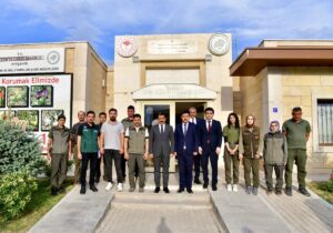 KIRŞEHİR (AA) – Kırşehir'de son 6 ayda yaralı halde bulunan,