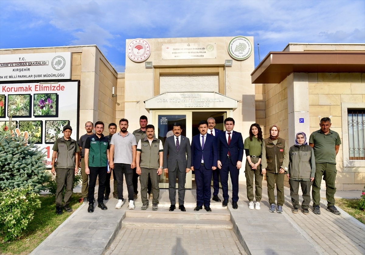 Kırşehir'de tedavi edilen 25 kuş, Bozkır Dağları'na yeniden kanat çırptı