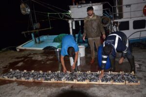 KOCAELİ (AA) – Marmara Bölgesi'nin en büyük toptan su ürünleri