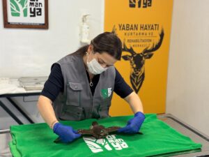 KOCAELİ (AA) – Kocaeli'nin Kandıra ilçesinde mahsur kaldıkları evin bacasından