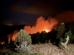 KONYA (AA) – Konya'nın Doğanhisar ilçesinde ormanlık alanda çıkan yangına