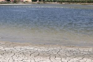 SİVAS (AA) – Sivas'ta 2016 yılında "Ulusal Öneme Haiz Sulak