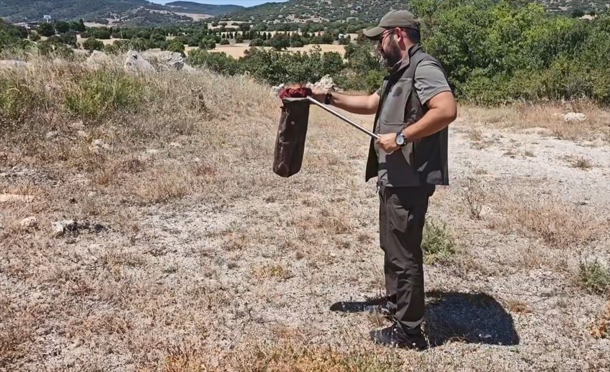 Kütahya'da restoranda bulunan yılan doğaya salındı