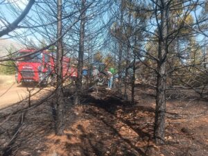 MALATYA (AA) – Malatya'nın Doğanşehir ilçesinde çıkan orman yangını söndürüldü.