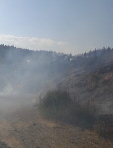 - Doğanyol ilçesine bağlı Bayırköy Mahallesi'ndeki orman yangını kontrol altına