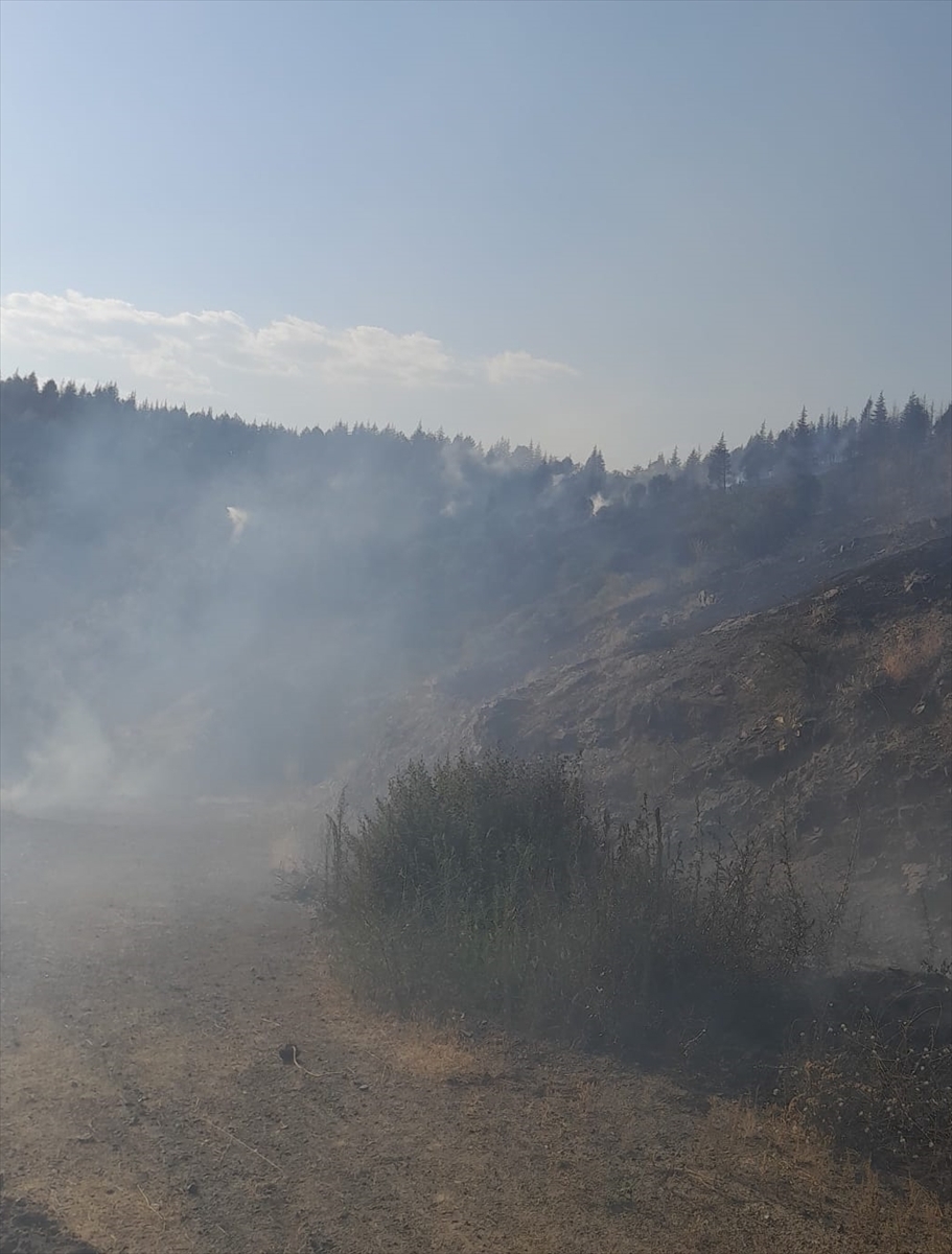 Malatya'nın Pütürge ve Doğanyol ilçelerindeki orman yangınlarına müdahale ediliyor