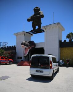 ANTALYA (AA) – Antalya'nın Manavgat ilçesinde bir kişiyi yaralayan aslanın