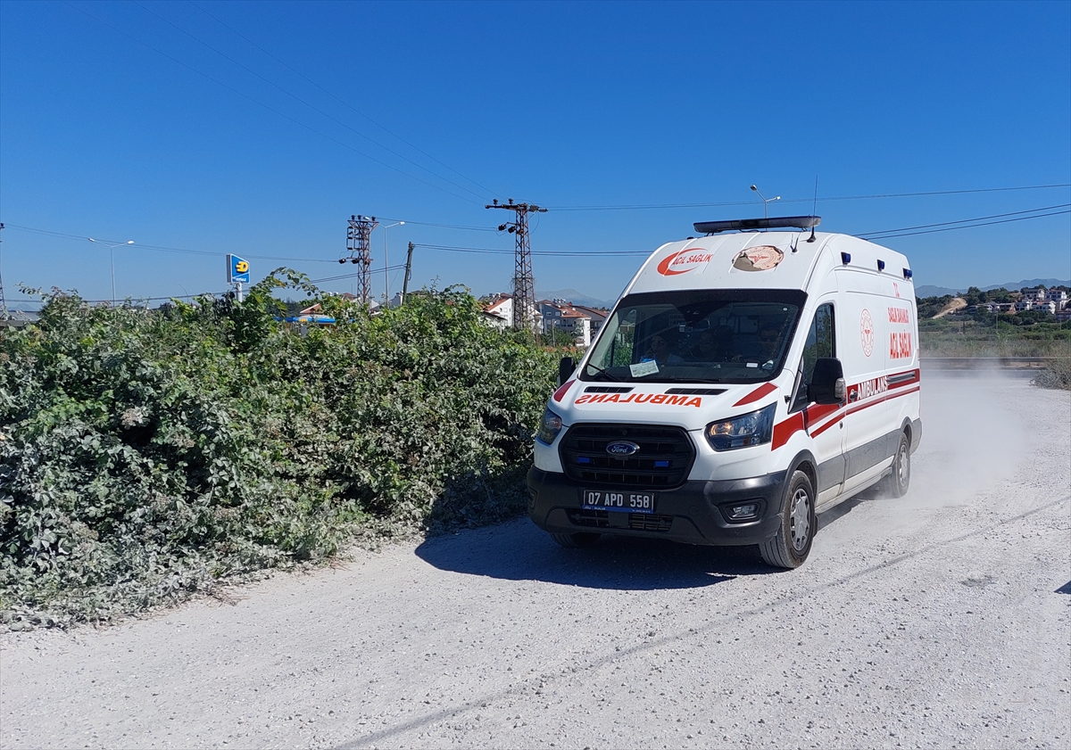 Manavgat'ta hayvan parkından kaçan aslan bir kişiyi yaraladı