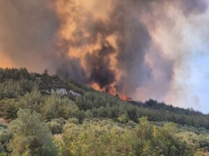 MANİSA (AA) – Manisa'nın Saruhanlı ilçesinde iki ayrı bölgede çıkan