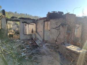 MANİSA (AA) – Manisa'nın Akhisar ilçesinde çıkan orman yangını ekiplerin