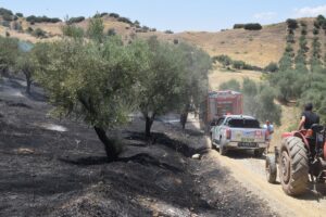 MANİSA (AA) – Manisa'nın Turgutlu ilçesinde yerleşim yerlerine yakın bir