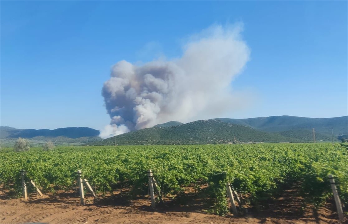 Manisa'nın Saruhanlı ilçesinde orman yangını çıktı