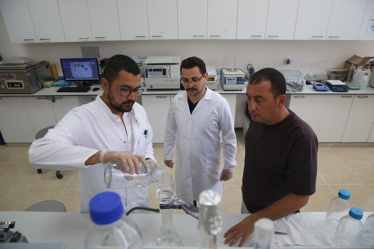 Marmara Denizi'nde mikroplastik ve ağır metallerin etkisi araştırılıyor