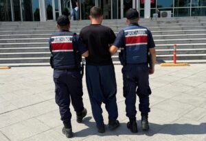 MERSİN (AA) – Mersin'in Tarsus ilçesinde 13 Temmuz'da çıkan orman