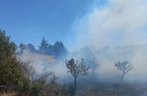 - Söndürme çalışmalarına Hatay'daki orman yangınından dönen helikopter de destek