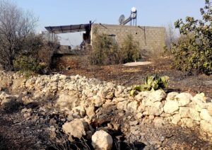 MERSİN (AA) – Mersin'in Silifke ilçesindeki ormanlık alanda çıkan yangına