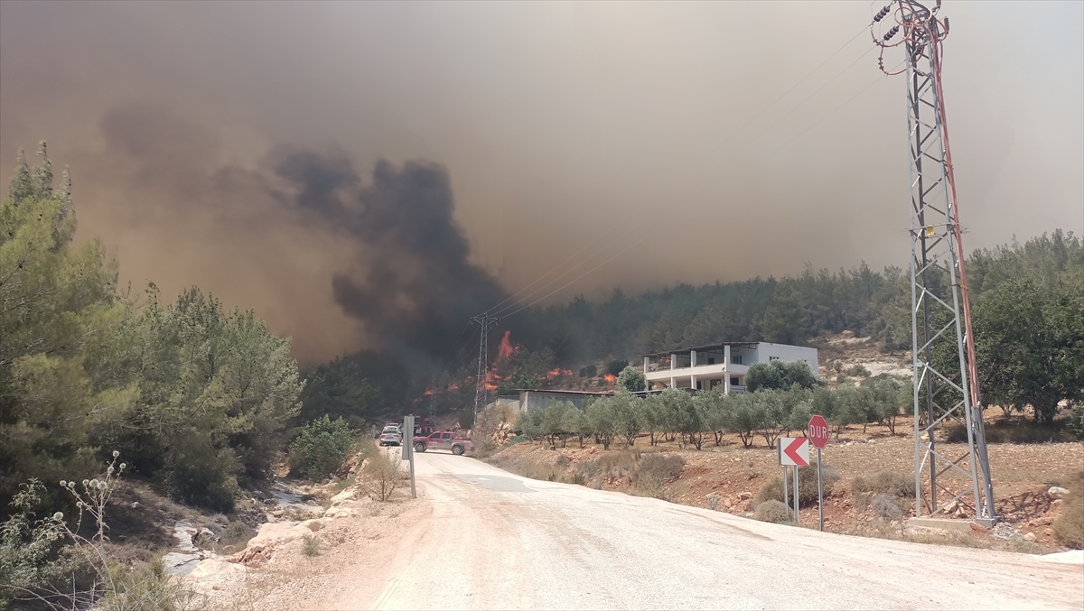 GÜNCELLEME – Mersin'in Silifke ilçesinde çıkan orman yangınına müdahale ediliyor