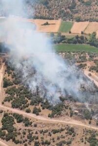 MUĞLA (AA) – Muğla'nın Milas ilçesinde ziraat alanında çıkan yangın